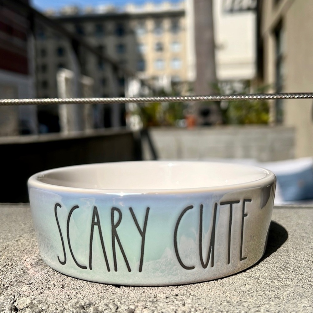 Iridescent Rae Dunn SCARY CUTE Cat Bowl